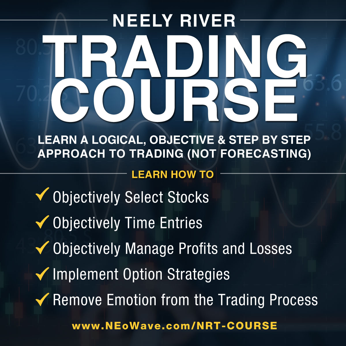 Professional Trading Course