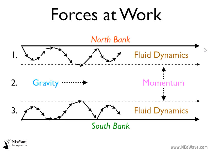 Figure 1: Forces at Work Gravity