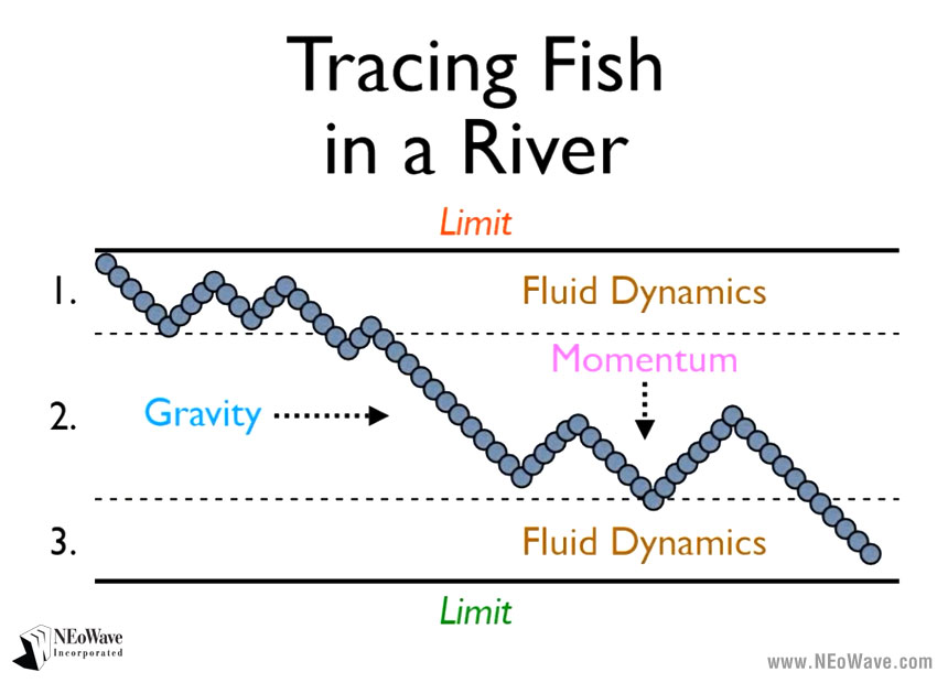 Figure 5: Tracing Fish in the River