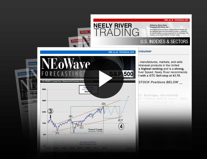 Watch Elliott Wave Theory Video