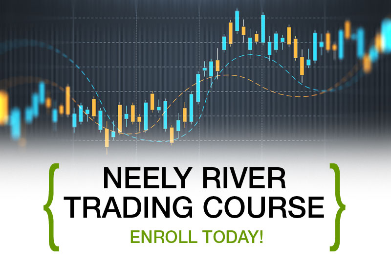 Professional Trading Course